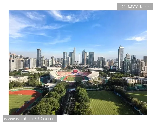 全运会点评:武汉足球队的灵活性表现