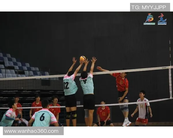 北京排球队在精英赛中的团队协作表现分析与点评