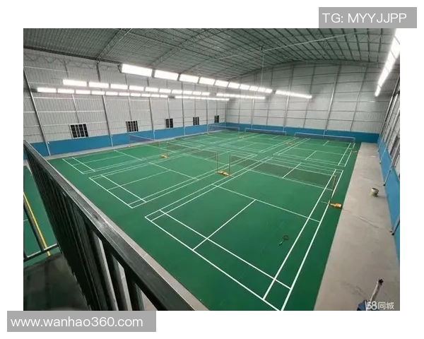 北京羽毛球队杯赛战术分析与表现评估全景解读