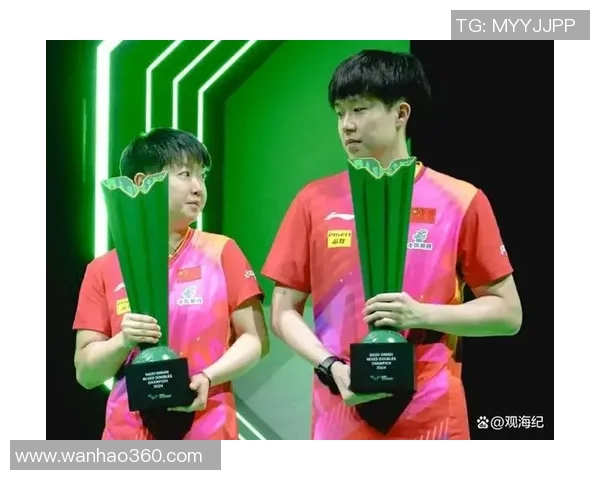 南京排球队的拼搏之路与大满贯荣耀的背后故事