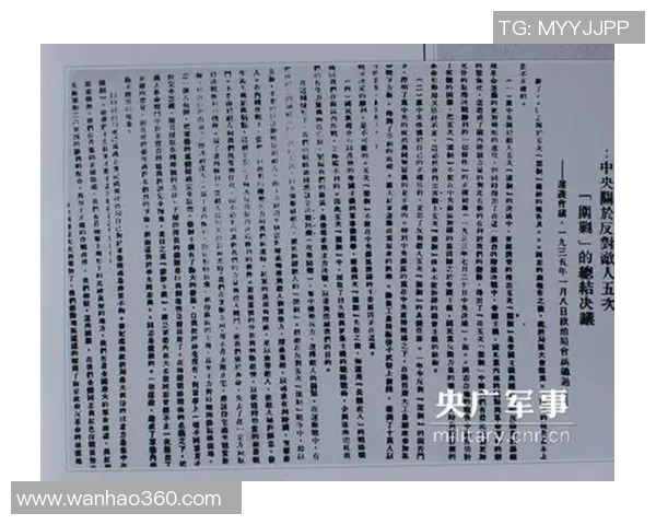 广州排球队阵地战打法深度分析与战术解读 广州排球队阵地战打法深度分析与战术解读