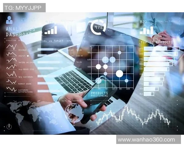 数据分析：BLG的灵活性表现