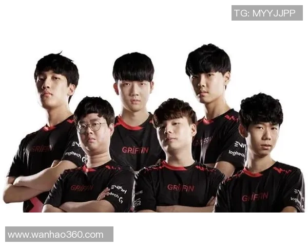 数据分析：FPX的灵活性表现