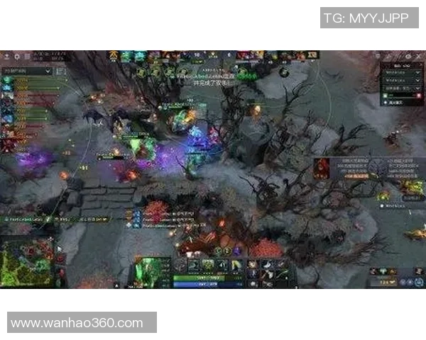 DOTA2热议:RNG的战术争议 DOTA2热议:RNG的战术争议