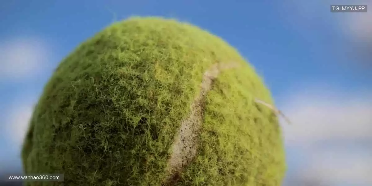 精彩瞬间,即刻拥有📸